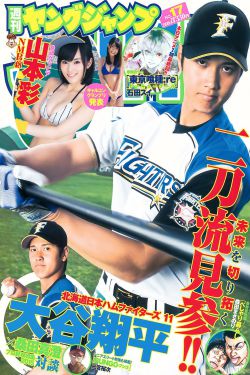 亮剑2