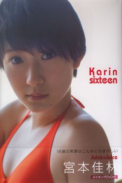 紫罗兰永恒花园外传
