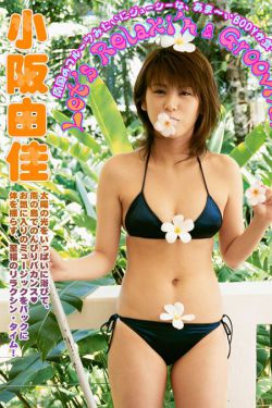 深宫谍影电视剧免费观看
